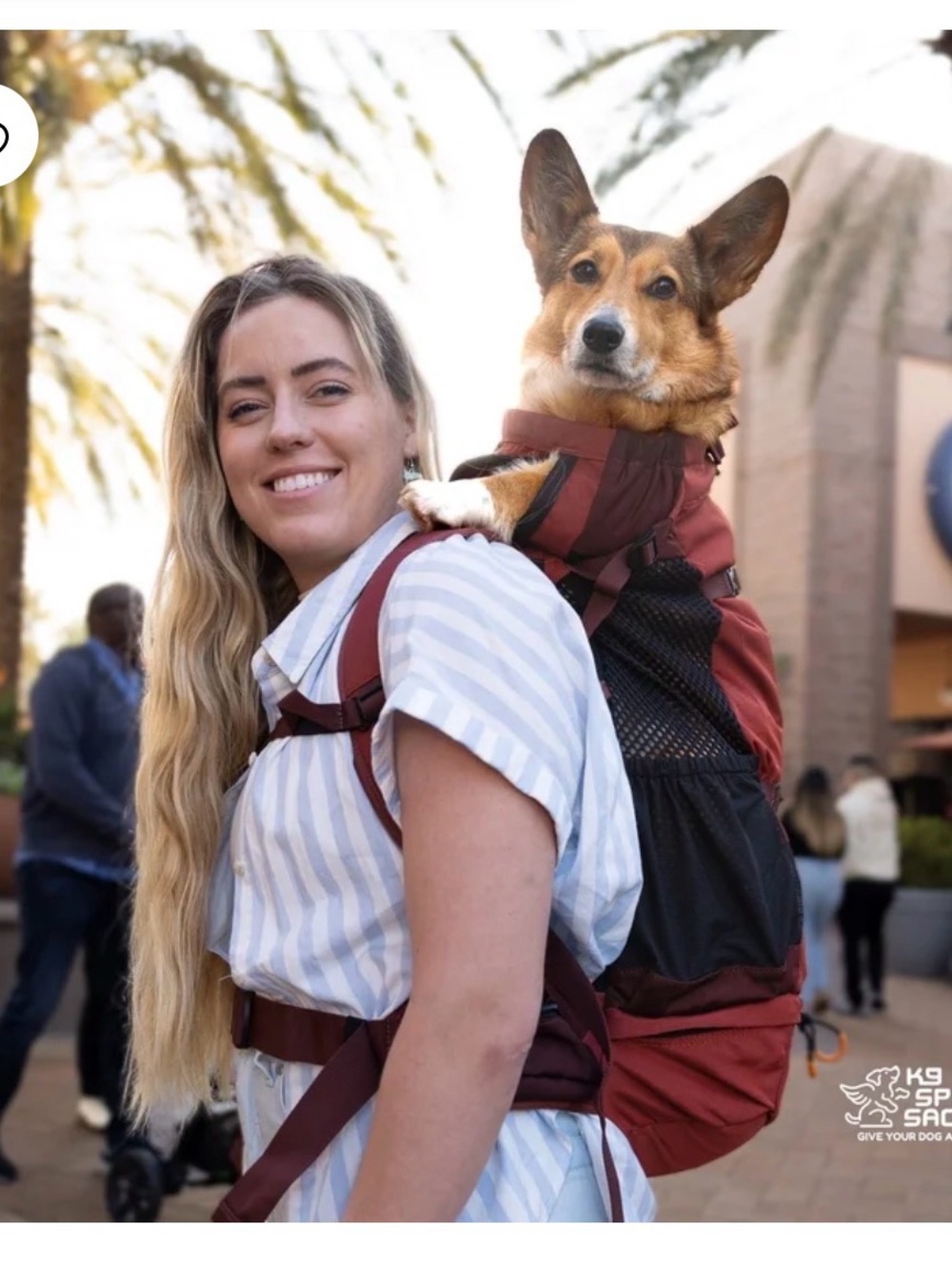 K9 Sport Sack L